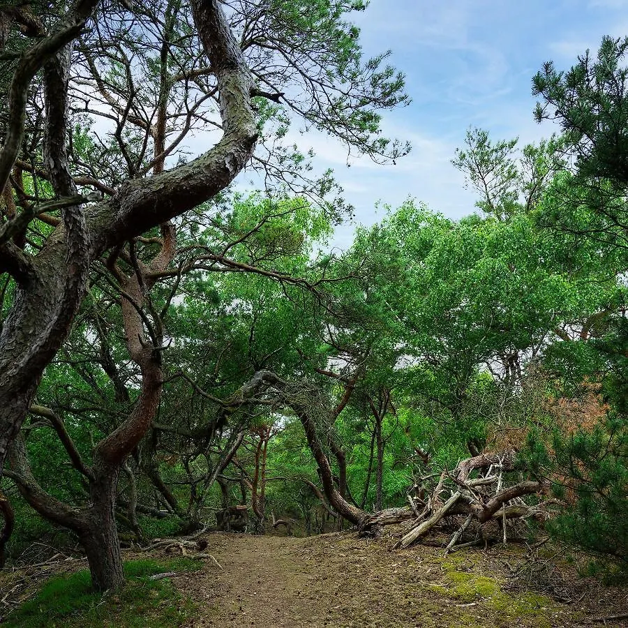 Strandbyn - Destination Rabocka Ängelholm Sverige